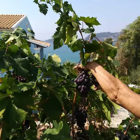 Cozy Few Mins From Corfu *