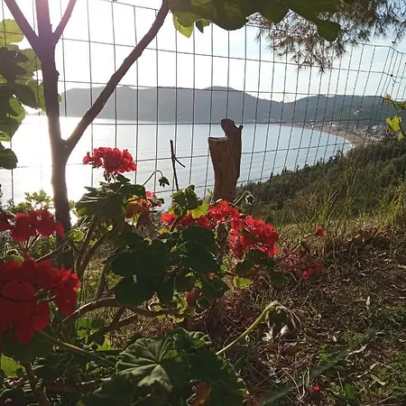 Agios Georgios - 2 Beds - Sleeps 5 - Free Parking Agios Georgios Pagon
