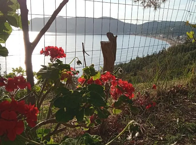 Agios Georgios - 2 Beds - Sleeps 5 - Free Parking Агиос-Георгиос-Пагон